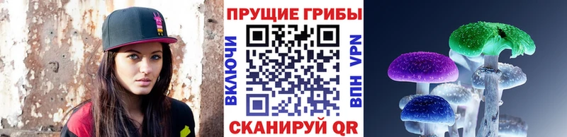 Псилоцибиновые грибы Psilocybine cubensis Прокопьевск