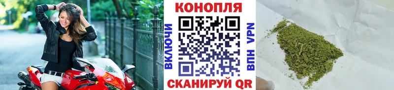 Конопля OG Kush  Прокопьевск 